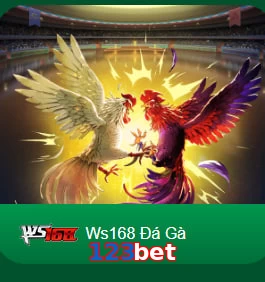 123bet